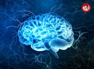 عکس؛ کاهش رتبه ایران در جدیدترین رتبه‌بندی IQ کشورها در سال ۲۰۲۵!