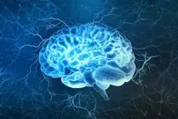 عکس؛ کاهش رتبه ایران در جدیدترین رتبه‌بندی IQ کشورها در سال ۲۰۲۵!
