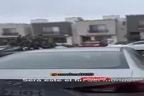(ویدئو) هجوم هزاران پرنده به خیابان‌های یک شهر مکزیک