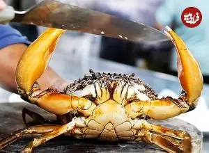 ببینید| غذای خیابانی در ویتنام؛ پخت غذاهای پرطرفدار با خرچنگ گِلی غول‌پیکر در هانوی