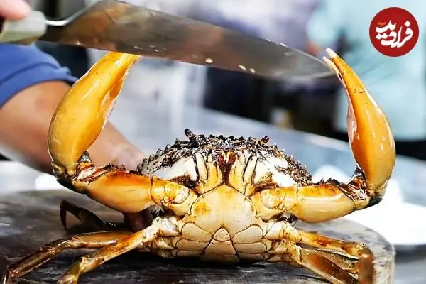 ببینید| غذای خیابانی در ویتنام؛ پخت غذاهای پرطرفدار با خرچنگ گِلی غول‌پیکر در هانوی