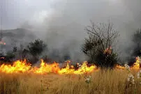 ( ویدیو) جزغاله شدن یک خودرو شاسی بلند به خاطر حرکت روی علفزار