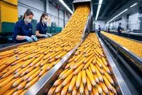 ببینید| مراحل تماشایی تولید انبوه مداد، پاک کن و دفترچه یادداشت در آمریکا