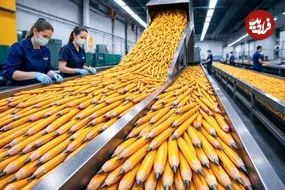 ببینید| مراحل تماشایی تولید انبوه مداد، پاک کن و دفترچه یادداشت در آمریکا