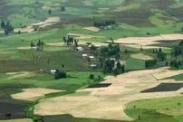( عکس) کشاورزی برای اولین بار کجای جهان و چطور آغاز شد؟