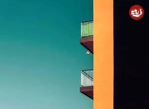 تصاویر؛ بهترین عکس‌های «مینیمالیستی» سال 2025 که برندۀ جایزه شدند