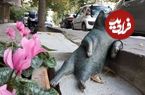 تصاویر؛  هنر خیابانی؛ ۱۰ اثر هنری خلاقانه که جاذبۀ جادویی «گربه‌ها» را به تصویر کشیده‌اند