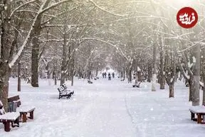 بارش باران و برف در اغلب مناطق کشور؛ کاهش دما در پایان هفته