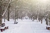 بارش باران و برف در اغلب مناطق کشور؛ کاهش دما در پایان هفته