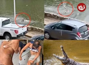 (ویدئو) تمساح پس از تعقیب و گریز یک شناگر را گاز گرفت