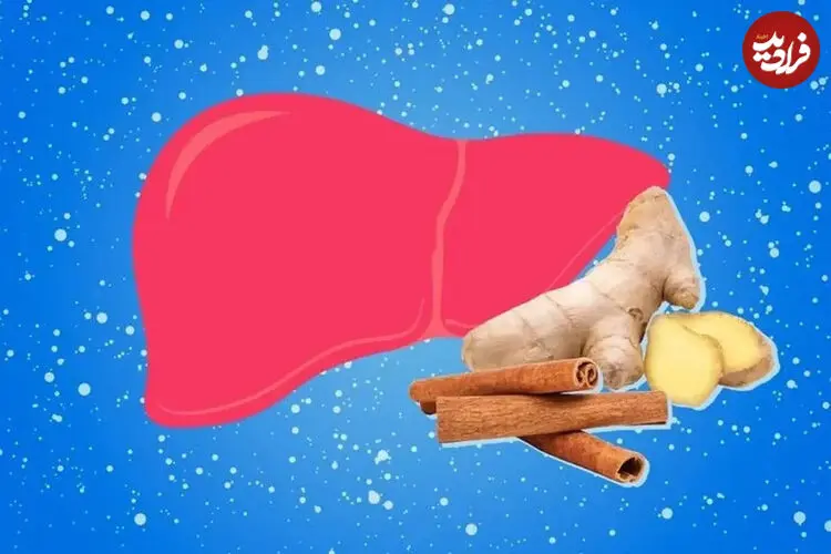 بهترین ادویه‌ها برای سلامت کبد