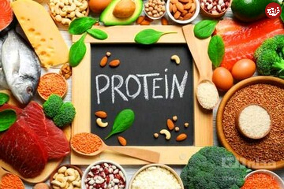 معرفی ۷ ماده غذایی پر پروتئین و کم‌کالری