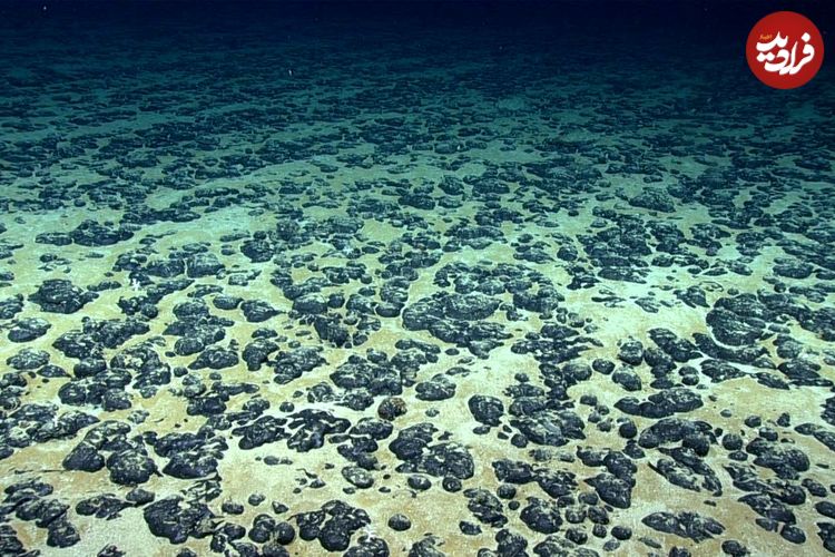 کشف غیرمنتظرۀ «اکسیژن تاریک» در اعماق اقیانوس آرام