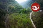 عکس| سفر زمان؛ منظرۀ زیبای یک جاده در نزدیکی رشت در دوران قاجار