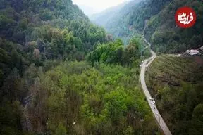 عکس| سفر زمان؛ منظرۀ زیبای یک جاده در نزدیکی رشت در دوران قاجار