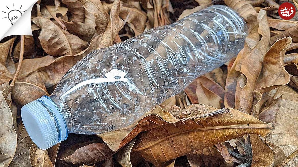 ببینید؛ 16 ایده خلاقانه برای استفاده مجدد از بطری های پلاستیکی