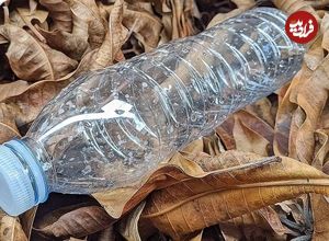 ببینید؛ 16 ایده خلاقانه برای استفاده مجدد از بطری های پلاستیکی