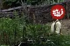 عکس| سفر زمان؛ منظرۀ یک خانۀ روستایی در مازندران؛ 75 سال قبل