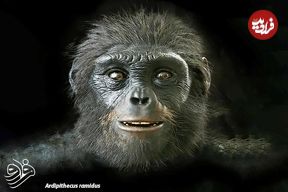 اجداد انسان‌ شبیه میمون‌های آفریقایی بودند!