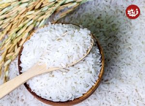 چرا برنج ارزان نشد؟
