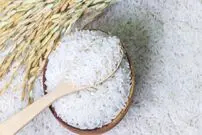 چرا برنج ارزان نشد؟