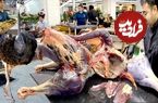 ببینید؛ غذای خیابانی در ازبکستان؛ پخت سمرقند پلو با گوشت شتر مرغ در تاشکند 