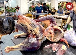 ببینید؛ غذای خیابانی در ازبکستان؛ پخت سمرقند پلو با گوشت شتر مرغ در تاشکند 