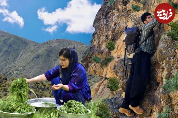 ببینید؛ غذای روستایی در ایران؛ پخت قورمه سبزی با سبزی کوهی در روستایی سرسبز