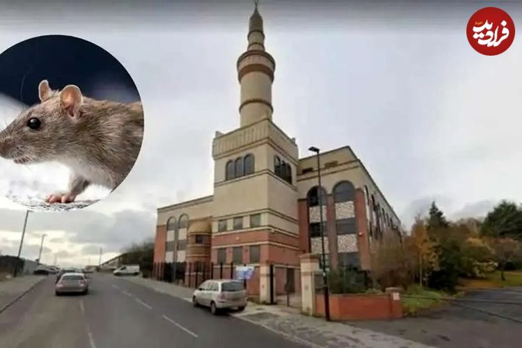 ببینید؛ حکم زندان برای یک مرد به دلیل رهاسازی موش در مسجد