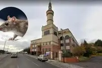 ببینید؛ حکم زندان برای یک مرد به دلیل رهاسازی موش در مسجد