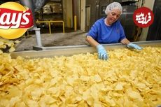 (ویدئو) عملیات تولید پیتزا و چیپس سیب زمینی در کارخانه های مشهور