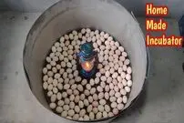 (ویدئو) نحوه ساخت دستگاه جوجه کشی 100 عددی ساده و کم هزینه با چراغ نفتی!