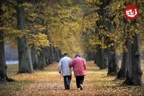 «پیاده‌روی» می‌تواند از ۲ علت اصلی مرگ جلوگیری کند