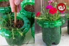 ببینید| ایده ساخت گلدان های زیبا و ساده با بطری های پلاستیکی