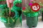 ببینید| ایده ساخت گلدان های زیبا و ساده با بطری های پلاستیکی