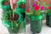 ببینید| ایده ساخت گلدان های زیبا و ساده با بطری های پلاستیکی
