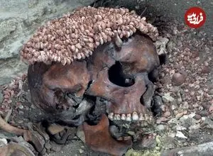 «شاهزادۀ غارنشین» 27 هزار سال قبل توسط «خرس» کشته شده است