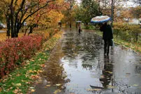 پیش‌بینی بارش‌های پاییزی بیش از حد نرمال در کشور
