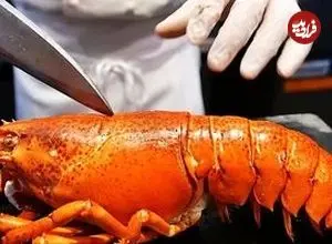 ببینید| غذای خیابانی در آمریکا؛ پخت لابستر در نیویورک