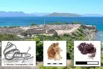 (عکس) رازگشایی از قتل‌عام هزاران حلزون در تاریخ!