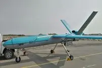 ببینید؛ هشت‌پای سیاه ؛ جنگجوی پنهان ایرانی و شکارچی نامرئی آسمان را بشناسید!