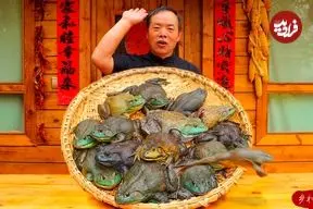 ببینید| غذای روستایی در چین؛ پخت خوراک با قورباغه گاوی و سبزیجات در روستا