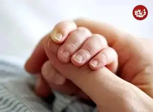 قانون «جوانی جمعیت» رسما شکست خورد