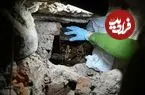 «گنج طلاهای سلطنتی» بعد از سال‌ها از درون «دیوار» بیرون آمد