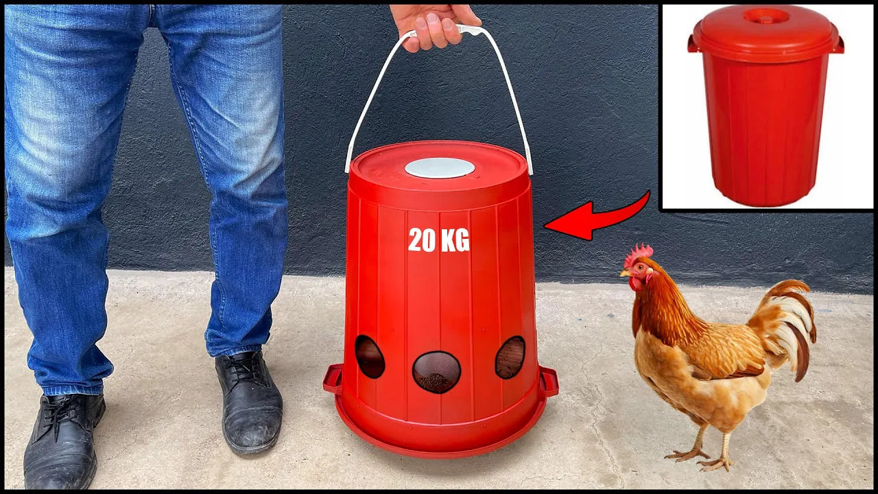 (ویدئو) ایده جالب ساخت دانخوری ساده مرغ با یک سطل زباله قدیمی