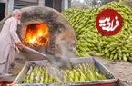 ببینید| غذای خیابانی در پاکستان؛ پخت بلال در شن داغ و در پیشاور