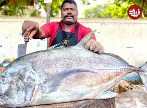 ببینید| برش زدن ماهی تراولی به روش خاص ماهی فروش هندی