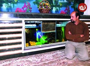 در آکواریوم‌ این مرد به جای ماهی زنبورهای عسل نگهداری می‌شوند