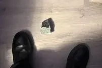 شهاب‌سنگ ارزشمندی که سقف خانه را سوراخ کرد و کنار تلویزیون افتاد