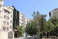 تصاویر؛ این خانه زیبا در پونک تهران؛ زیبایی چگونه در یک محیط معمولی شاخص می سازد